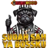 RUBY8000 5