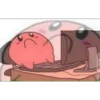 Kirby 14