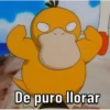 Pokémon 14