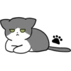Silver and white cat 4 21