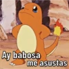 Pokémon 15