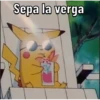 Pokémon 16