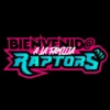 Raptors hard training 5