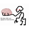 Reaction Images #5 19