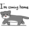 Silver and white cat 2 20