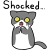 Silver and white cat 2 21