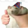 random meme 3 10