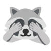Raccoon 11