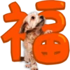 Lizzy Family 龍年 Sticker 7