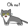 Silver and white cat 3 20