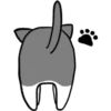 Silver and white cat 17