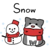 Silver and white cat 3 21