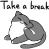 Silver and white cat 2 22
