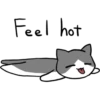 Silver and white cat 18