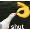 Reaction Images #4 22