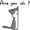 Silver and white cat 19