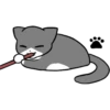 Silver and white cat 4 25