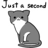 Silver and white cat 2 23