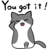 Silver and white cat 2 24