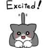 Silver and white cat 2 26
