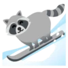 Raccoon 14
