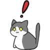 Silver and white cat 23