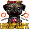 RUBY8000 6