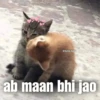 @billa.here ab maan bhi jao