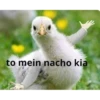 to mein nacho kia
