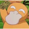 Pokémon 23