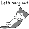 Silver and white cat 24