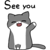 Silver and white cat 3 24