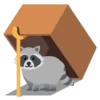 Raccoon 15