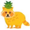 Raccoon 16