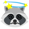Raccoon 17