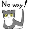 Silver and white cat 2 29
