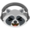 Raccoon 18