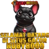RUBY8000 9