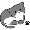 Silver and white cat 4 26