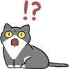 Silver and white cat 3 26
