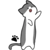 Silver and white cat 4 27