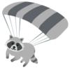 Raccoon 19