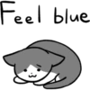 Silver and white cat 27