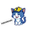 Poksteam Catto by Poksel 14