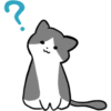 Silver and white cat 28