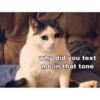 Reaction Images #3 26