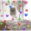 hugs 11