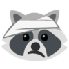 Raccoon 21