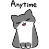 Silver and white cat 3 28