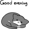 Silver and white cat 3 29